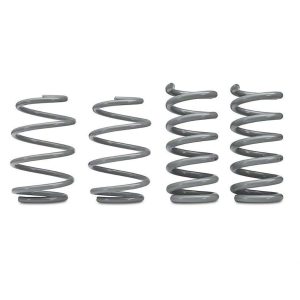 RTR Tactical Performance Lowering Springs (15-24 GT Fastback, EcoBoost w/o MagneRide)